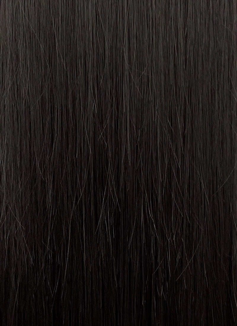 Purple Mixed Black Straight Synthetic Hair Wig NS538