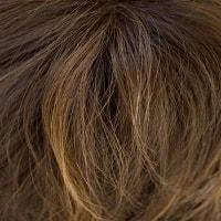 Robin wig - Noriko