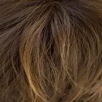 Ryan wig - Noriko