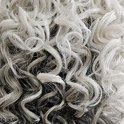 Selfie Mode Wig by Raquel Welch | Heat Friendly Synthetic (Monofilament)