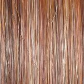 Selfie Mode Wig by Raquel Welch | Heat Friendly Synthetic (Monofilament)