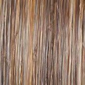 Selfie Mode Wig by Raquel Welch | Heat Friendly Synthetic (Monofilament)