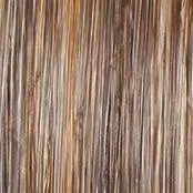 Simmer Elite Petite Wig by Raquel Welch | Synthetic (Hand-Tied Mono)