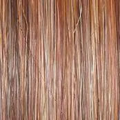 Simmer Elite Petite Wig by Raquel Welch | Synthetic (Hand-Tied Mono)