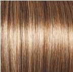Simply Flawless Wig by Gabor | Synthetic (Lace Front Mono Part)