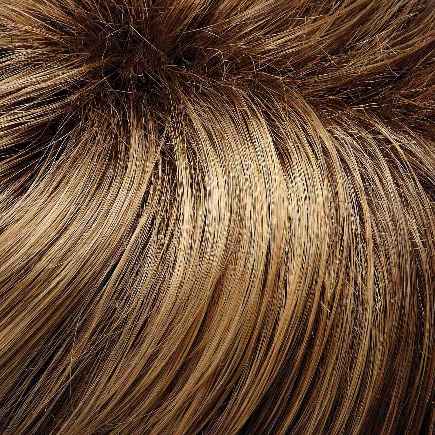 Skylar Wig by Jon Renau | Synthetic Lace Front (Mono Top)