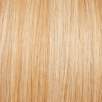 Soft Focus wig - Raquel Welch Black Label Human Hair Collection