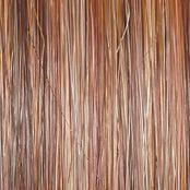 Spotlight Wig by Raquel Welch | Heat Friendly Synthetic Large (Lace Front Mono Top)