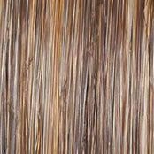 Statement Style Wig by Raquel Welch | Synthetic Lace Front (Mono)