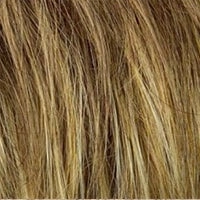 Stop Traffic wig - Raquel Welch