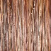 Stroke of Genius Wig by Raquel Welch | Heat Friendly Synthetic Curly Layered (Mono)