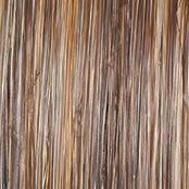 Stroke of Genius Wig by Raquel Welch | Heat Friendly Synthetic Curly Layered (Mono)