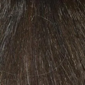Tasha Wig by Envy | Synthetic (Mono Top)