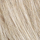 Trend Setter wig - Raquel Welch