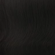 Trend Setter wig - Raquel Welch