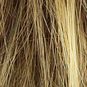 Trend Setter Wig by Raquel Welch | Synthetic (Traditional Cap)