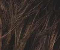 Value Human Hair Enhancer - Top Power by Ellen Wille