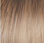 Voltage Petite Wig by Raquel Welch | Synthetic (Basic Cap)