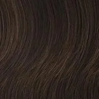 Winner Elite wig - Raquel Welch