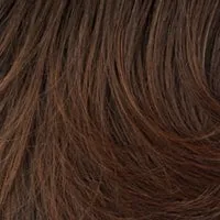 Winner Elite wig - Raquel Welch