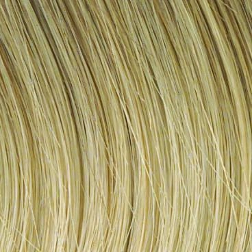 Work It Wig by Raquel Welch | Synthetic (Lace Front Mono Top)