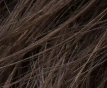 Zizi wig - Ellen Wille Hairpower Collection