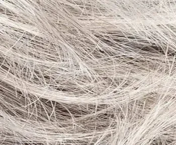 Zoe Mono wig - Ellen Wille Modixx Collection